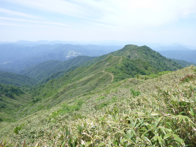 d0170615_13545865.jpg
