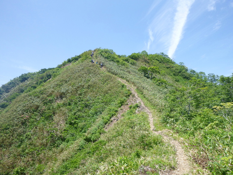 d0170615_13561040.jpg