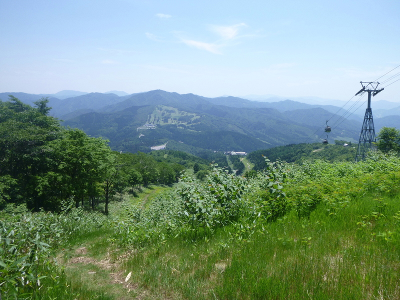d0170615_1358937.jpg