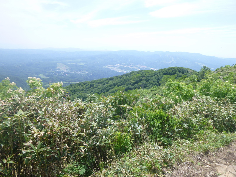 d0170615_1425732.jpg