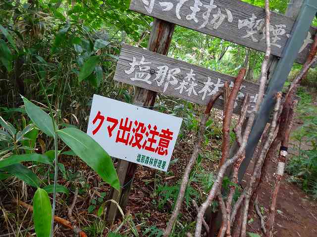 a0243317_1341618.jpg