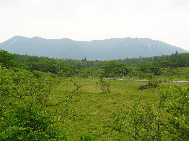 a0243317_14123796.jpg