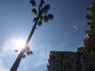 b0363818_926526.jpg