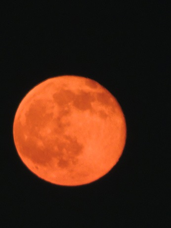 f0150620_2115067.jpg