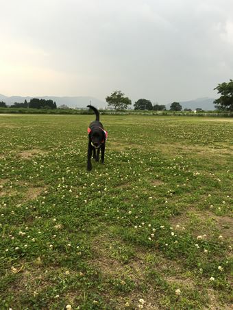 c0114121_104147.jpg