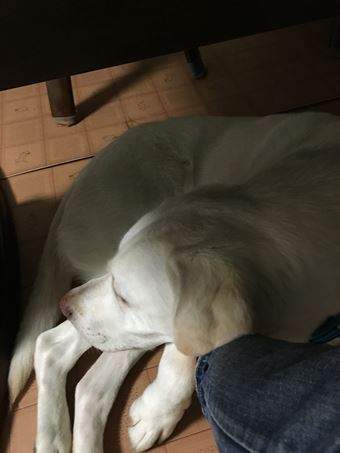 c0114121_1303255.jpg