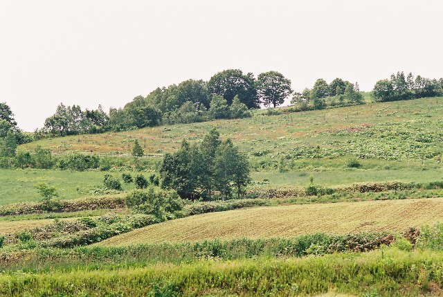 f0362725_02063204.jpg