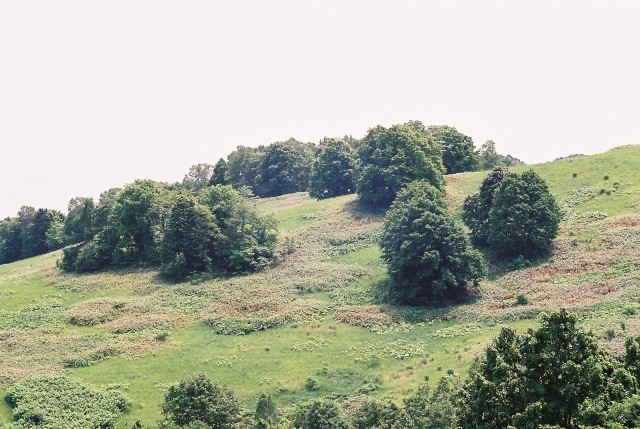 f0362725_02111773.jpg