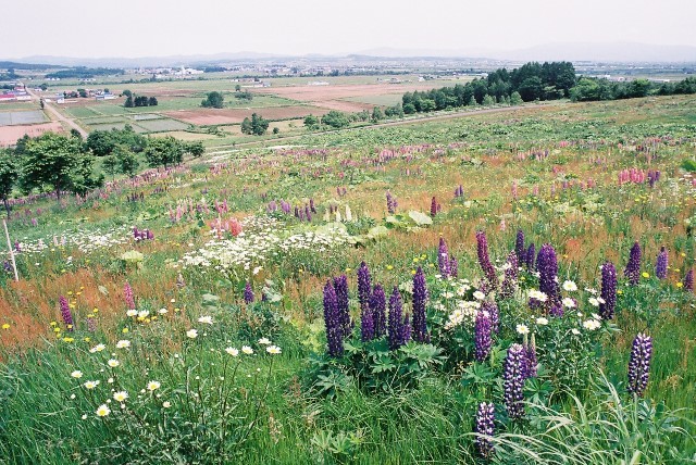 f0362725_02134783.jpg