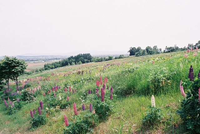 f0362725_02152575.jpg