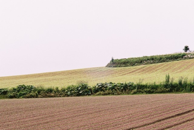f0362725_02225367.jpg