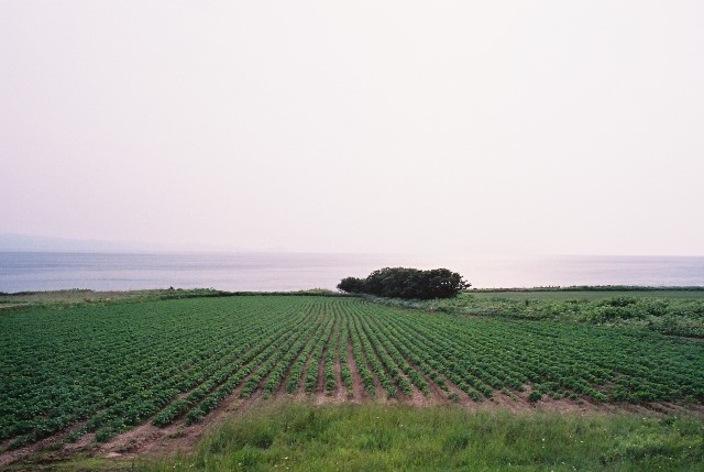 f0362725_02270373.jpg