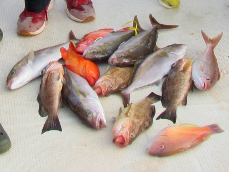 c0203337_10354079.jpg