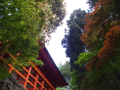 f0141840_01110709.jpg