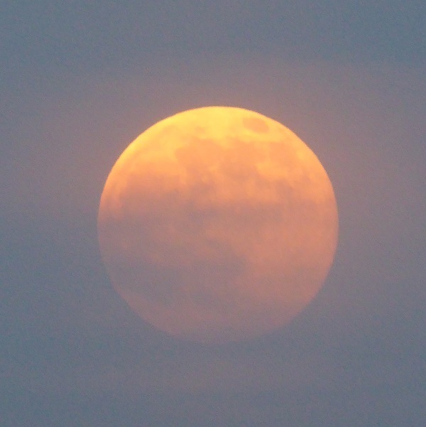 d0288144_10584516.jpg