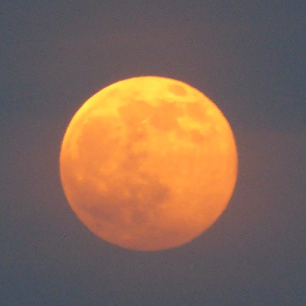 d0288144_10585115.jpg