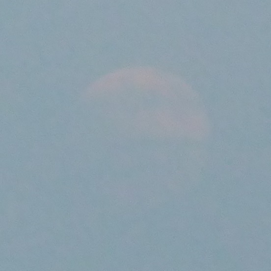 d0288144_11164195.jpg