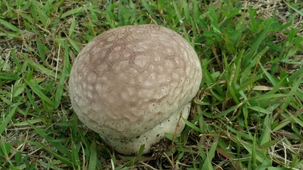 a0130451_09034971.jpg