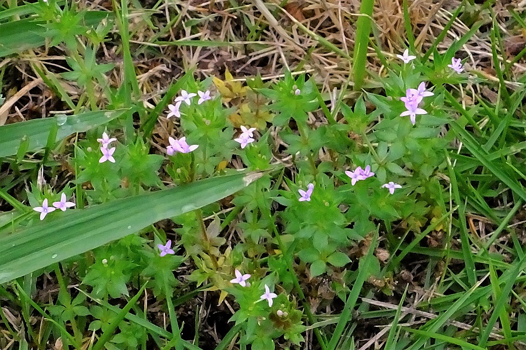 b0236251_10103928.jpg