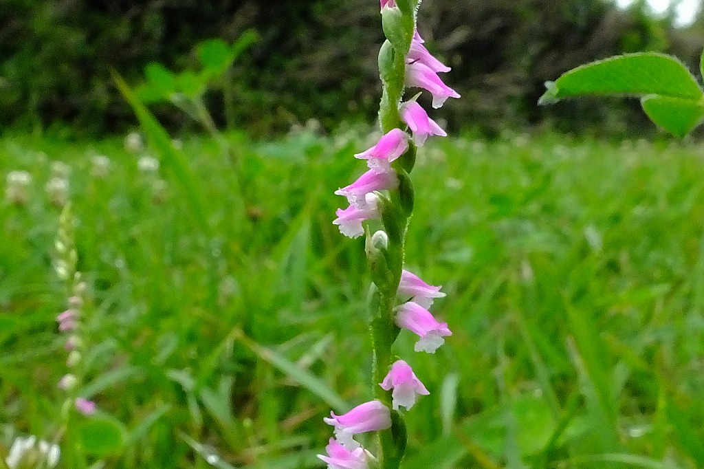 b0236251_10114636.jpg