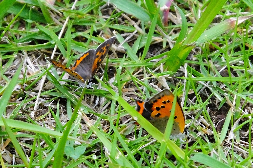 b0236251_101459.jpg