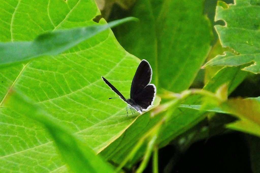 b0236251_10164264.jpg