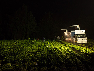 a0290852_21123497.jpg