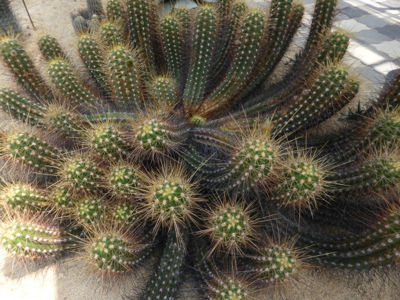 b0243152_21093340.jpg