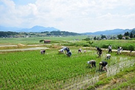 b0218664_15551251.jpg