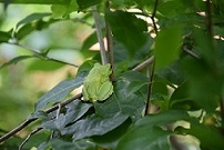 b0218664_1674622.jpg