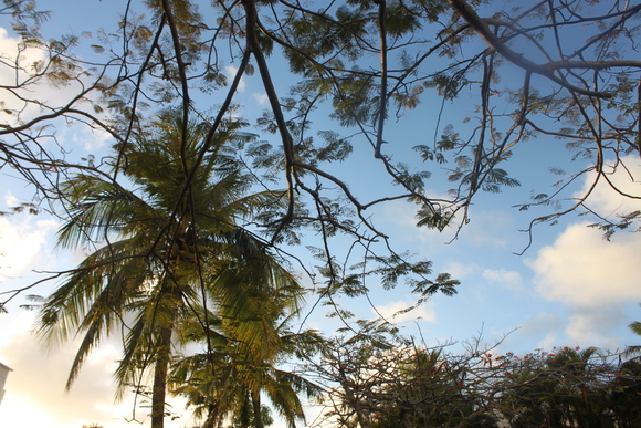 b0021865_1235034.jpg