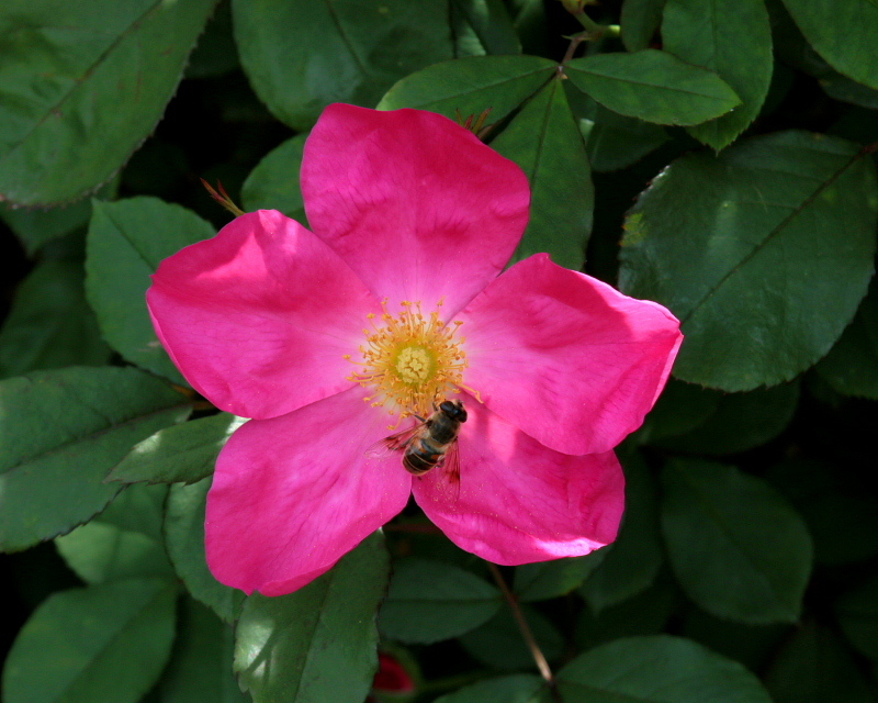 c0305565_17495571.jpg