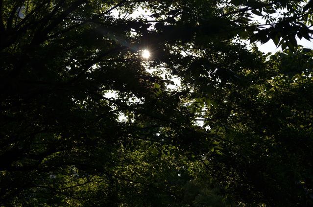 f0219074_22375684.jpg