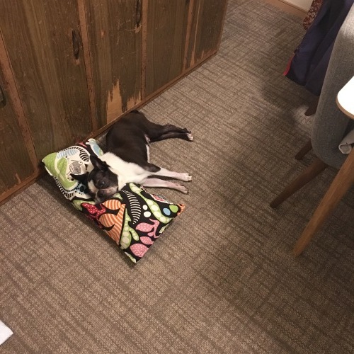 d0041575_22431836.jpeg