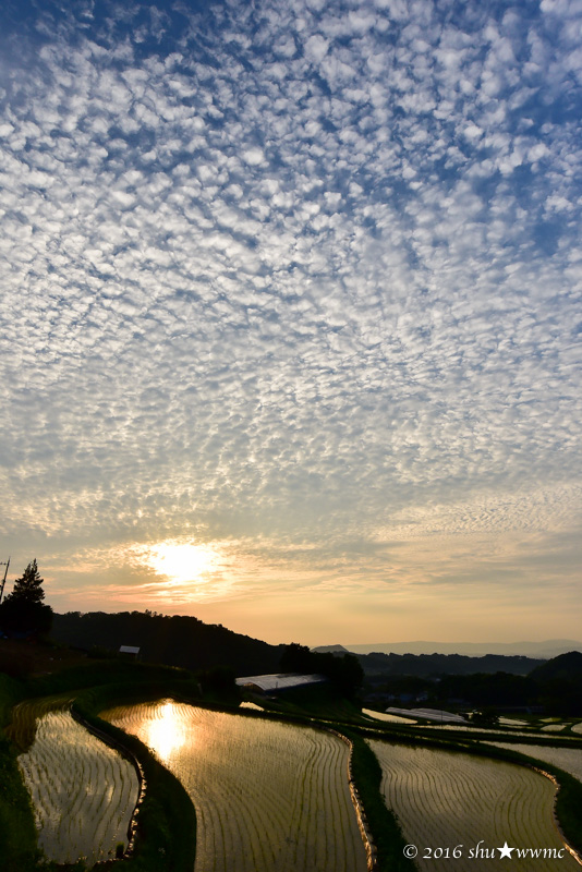 a0142976_1735228.jpg