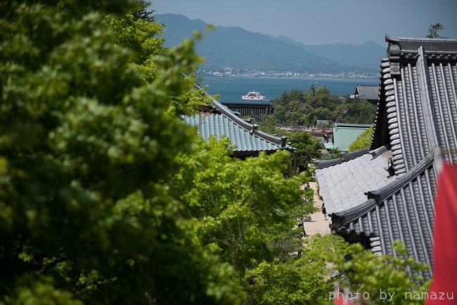b0280176_17104568.jpg