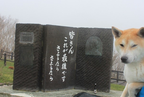 f0230777_9355491.jpg