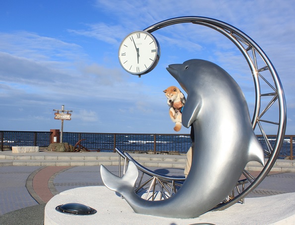 f0230777_9545322.jpg