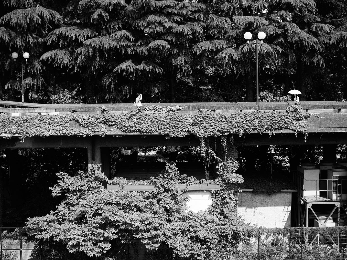 f0121181_2395100.jpg