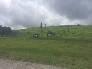 e0100584_131772.jpg
