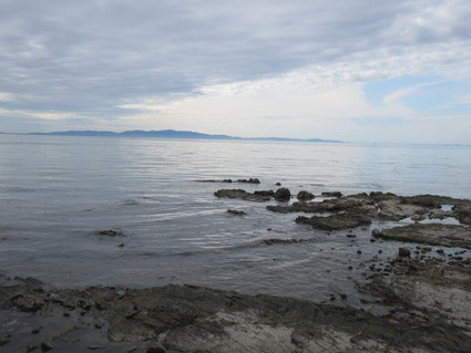 f0053885_204697.jpg