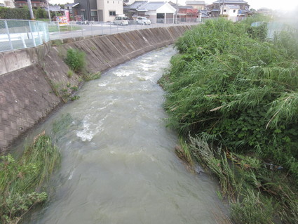 f0053885_204784.jpg