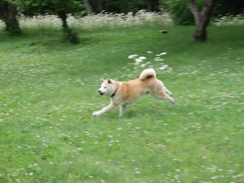 c0123890_20325699.jpg