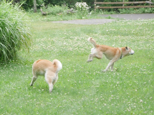 c0123890_20331361.jpg