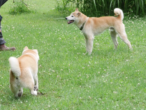 c0123890_2033495.jpg