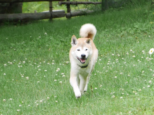 c0123890_2038289.jpg
