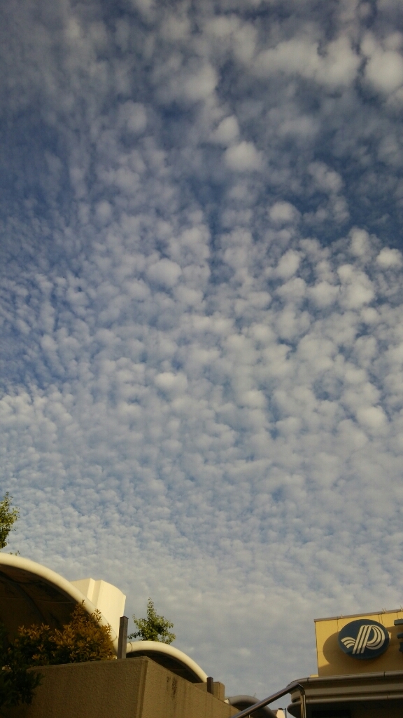 c0109891_05380669.jpg