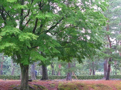 f0181394_19293558.jpg
