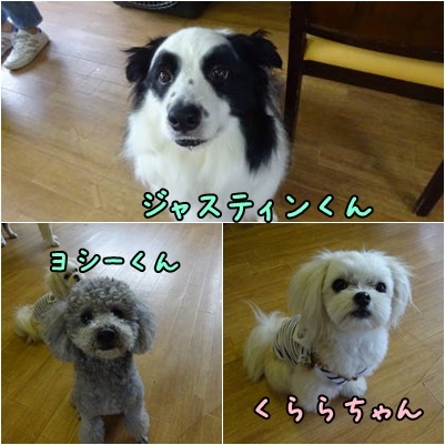 a0338800_11420781.jpg