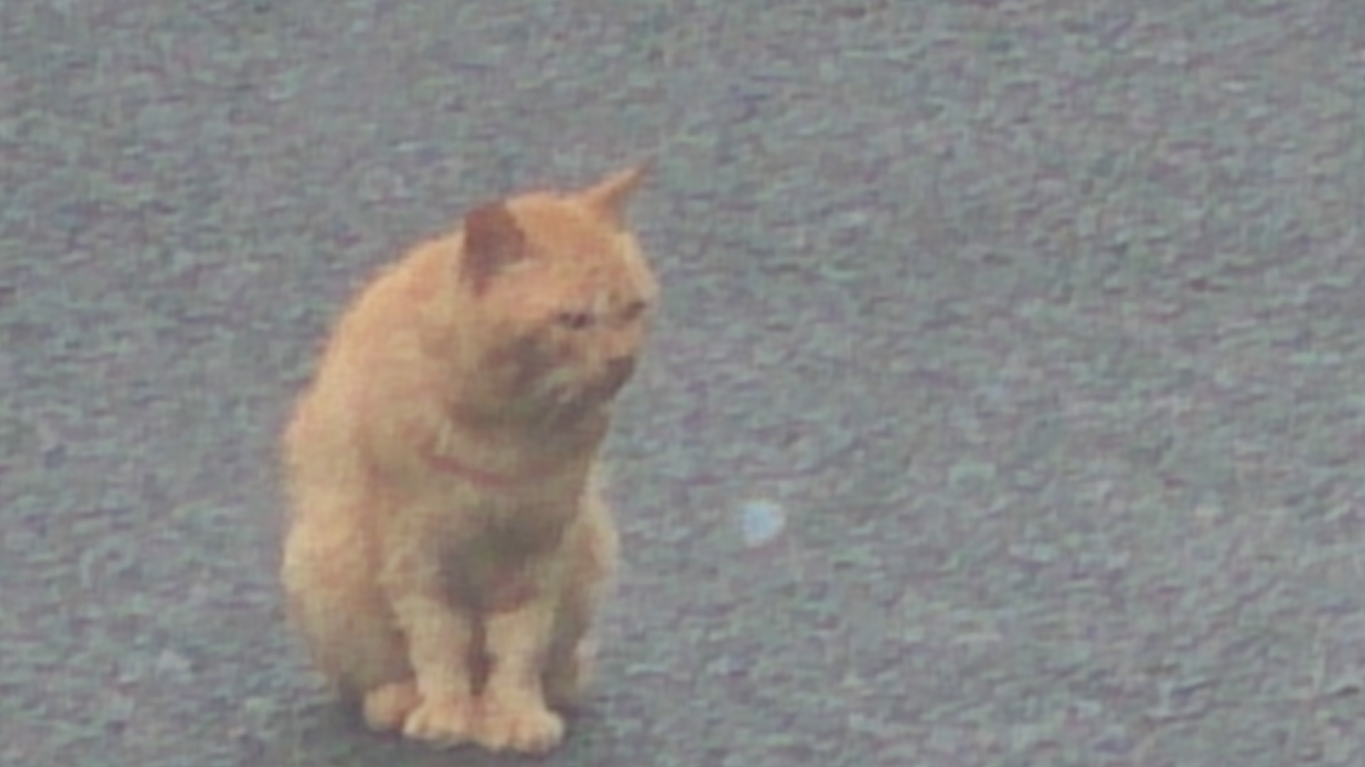 d0237309_21584579.jpg